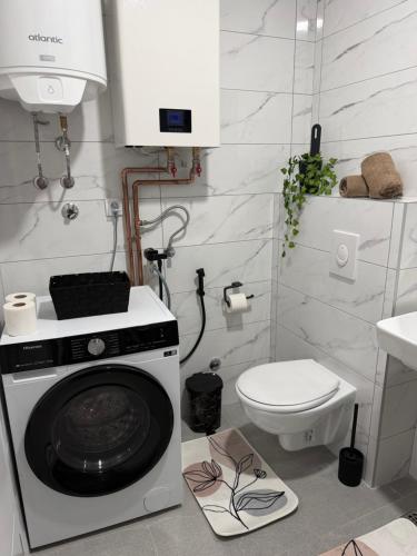 a bathroom with a washing machine and a toilet at Apartman Daniela Lake View in Donje Mladice