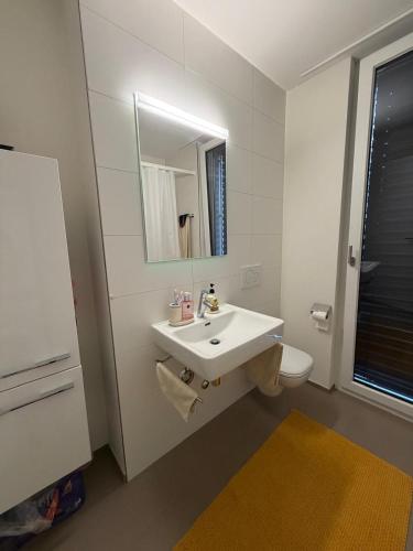 Modern apartment in Basel, 10 minutes from Messeplatz