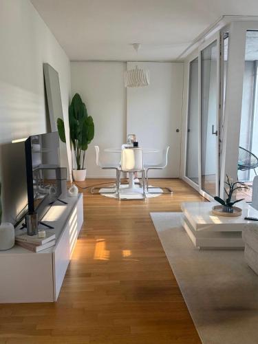 Modern apartment in Basel, 10 minutes from Messeplatz