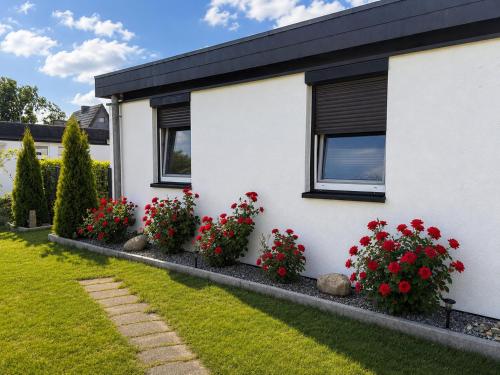 a house with red geraniums in front of it at Zwischen Schlei & Ostsee in Kappeln