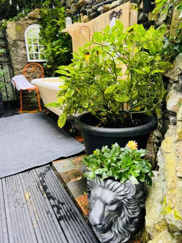a statue of a lion with plants in a pot at Waterfall retreat in Blaenau-Ffestiniog