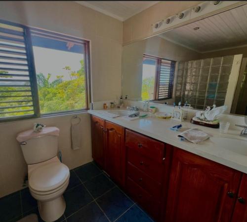 a bathroom with a toilet and a sink and a mirror at coubaril Manor in Castries