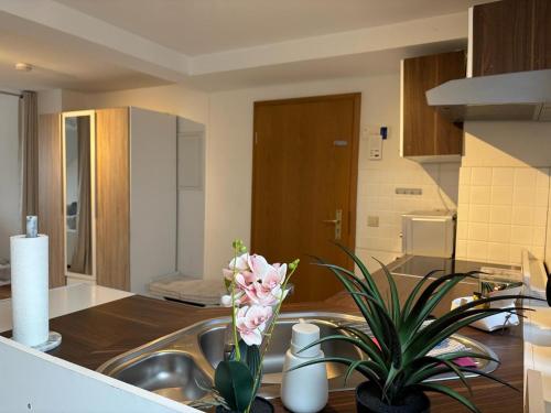 a kitchen with a sink with a plant in it at Helles Maisonette Apartment, Balkon, all-in 5G in Gera