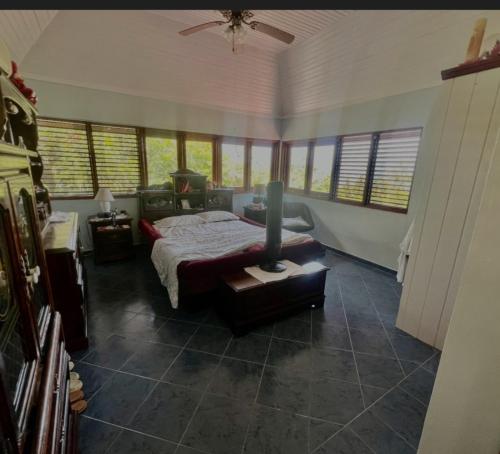 a bedroom with a bed in a room with windows at coubaril Manor in Castries