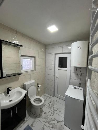 a bathroom with a toilet and a sink at House Bozovic in Žabljak