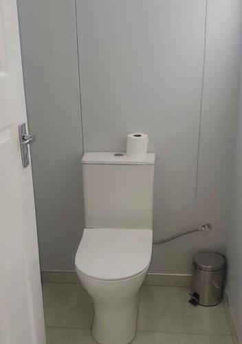 a bathroom with a toilet with a roll of toilet paper on it at Rundu Rainbow Guesthouse in Rundu