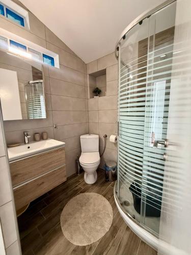 a bathroom with a shower and a toilet and a sink at Sonia in Leptokarya