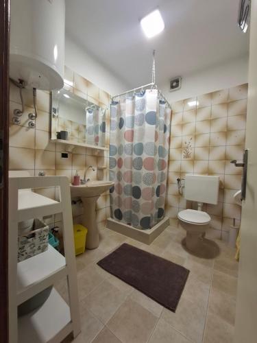 a bathroom with a toilet and a shower at Apartman Terrazza in Sumartin