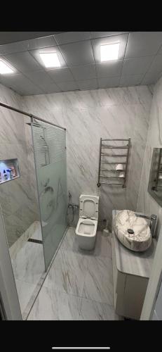 a bathroom with a shower and a toilet and a sink at Panorama in Sumqayıt
