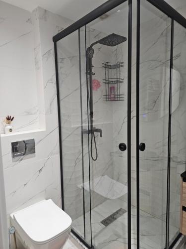 a bathroom with a shower with a toilet at Nading flat in 'Aïn Benian