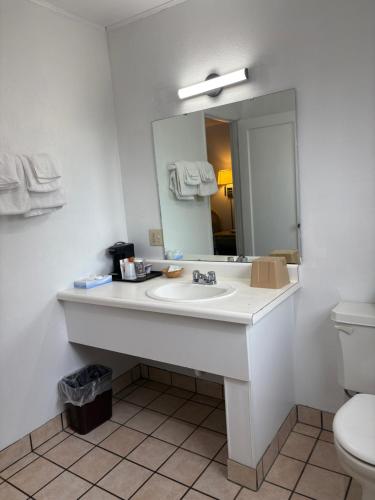 a bathroom with a sink and a toilet and a mirror at Motel Garberville in Garberville