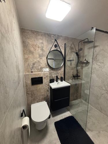 ein Badezimmer mit Toilette, Waschbecken und Dusche in der Unterkunft Bustryk 33 in Bustryk