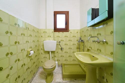 a green bathroom with a toilet and a sink at Athina Villa in Koinyra