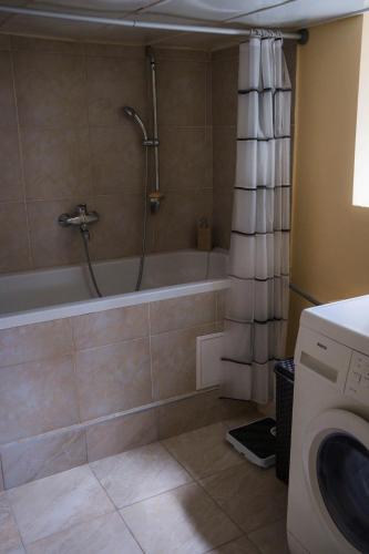 a bathroom with a tub and a shower and a washing machine at Kovaci Garden House in Sarajevo