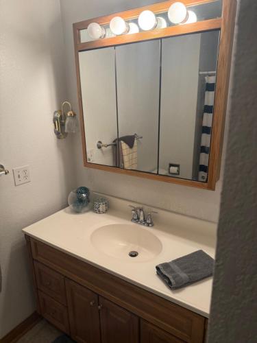 a bathroom with a sink with a mirror and a mirror at Dubuque's Hidden Gem! in Dubuque
