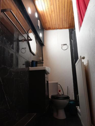 a small bathroom with a toilet and a sink at Studio à la campagne, Jardin, Lac à 7 min in Chenereilles