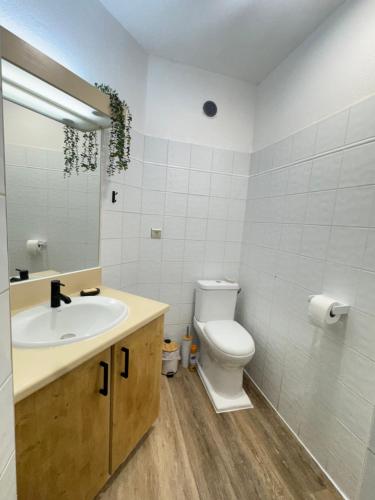 a bathroom with a sink and a toilet and a mirror at AZURÉA Marina ! in Gourbeyre