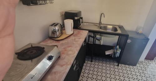 a small kitchen with a sink and a counter at butterfly lodge in Brufut