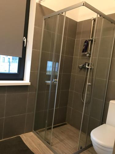 a shower stall in a bathroom with a toilet at Lubiatówki in Lubiatowo