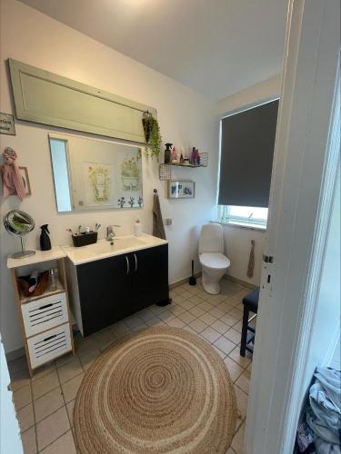 a bathroom with a sink and a toilet and a mirror at Hyggely in Nakskov