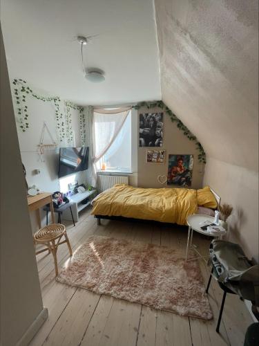 a bedroom with a bed and a desk and a tv at Hyggely in Nakskov