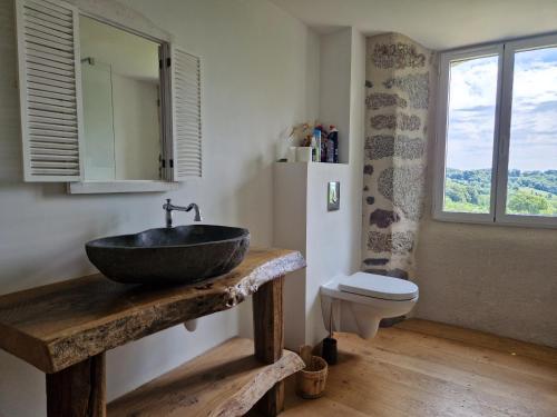 a bathroom with a sink and a toilet at Le Domaine Eugenie in Cassuéjouls