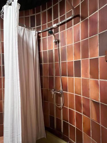a shower with a white shower curtain in a bathroom at LAKEview HAUS in Braslovče