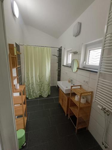 a bathroom with a sink and a shower at NEU! Ferienhaus Schwedt in Schwedt