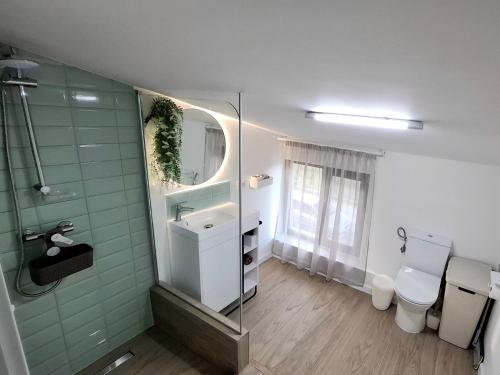 a bathroom with a shower and a sink and a toilet at Maracas Sea View Boutiq in Costinesti