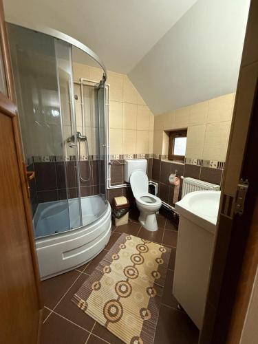 a bathroom with a toilet and a shower and a sink at Pensiunea Popan in Şieu