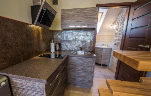 a kitchen with a sink and a counter top at Apartament Giżycko in Giżycko