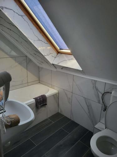 a bathroom with a toilet and a sink and a skylight at Marika Apartman Sopron in Sopron