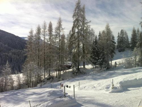 a snow covered slope with trees on a mountain at BnB Guesthouse Lusi in Frauenkirch