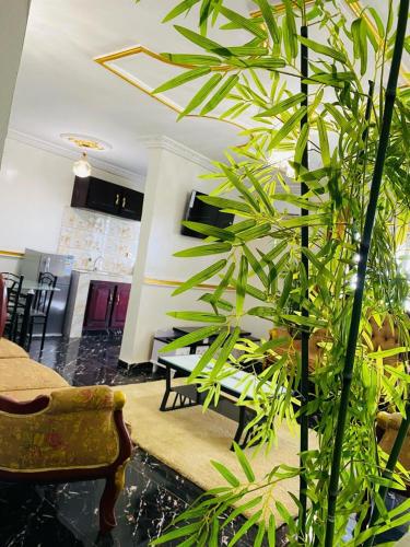 a large green plant in a living room at Golden fortune Hotel apartment in Molyko