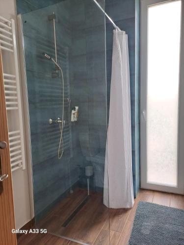 a shower with a glass door in a bathroom at Garden House in Dég