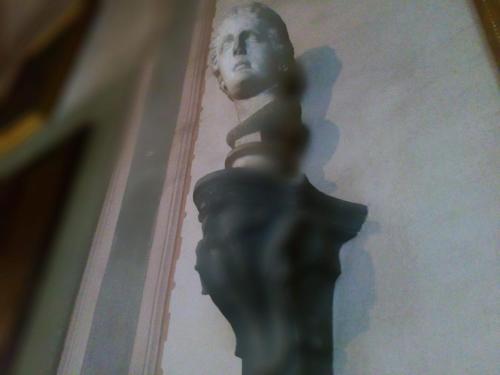 Palazzo Capponi alle Rovinate photo 54