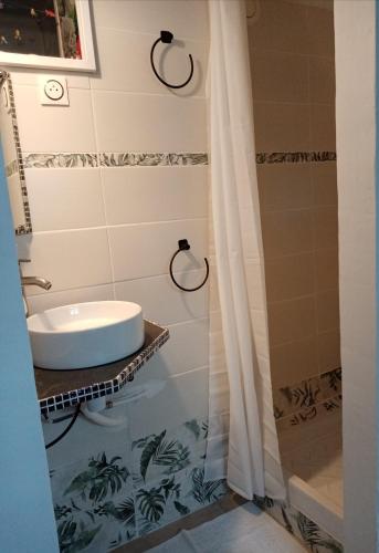 a bathroom with a sink and a shower at Les Jeux du Moulin in Nouans-les-Fontaines