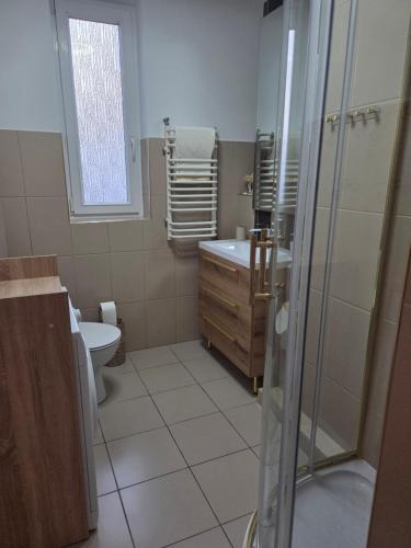 a bathroom with a toilet and a sink and a shower at Apartament Lipowa Centrum in Mrągowo