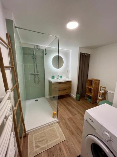 a bathroom with a shower with a sink and a washing machine at Maison cozy in Saint-Brieuc