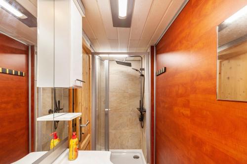 a bathroom with a shower and a sink at Ferienhaus 34 in Zadelsdorf