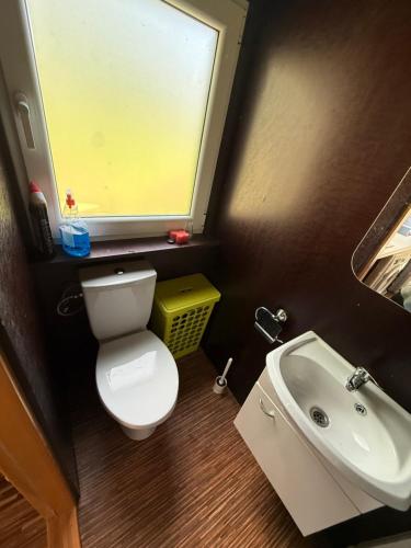 a small bathroom with a toilet and a sink at Razna Lake House in Astici