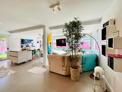 Casa Color