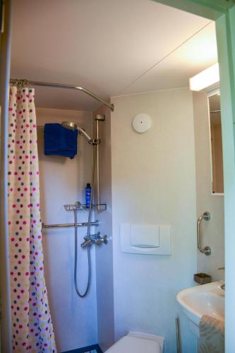 a bathroom with a shower and a toilet and a sink at Bed & Bloemen in Niebert