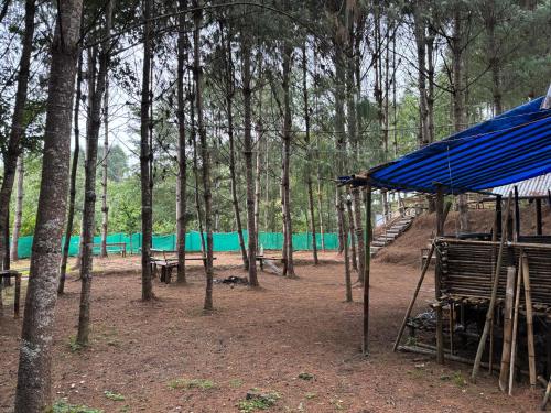 a tent with a blue tarp in the woods at Camp Pineyard Ziro in Ziro