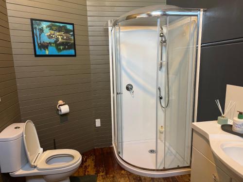a bathroom with a shower and a toilet and a sink at AB Accomodation in Palmerston North