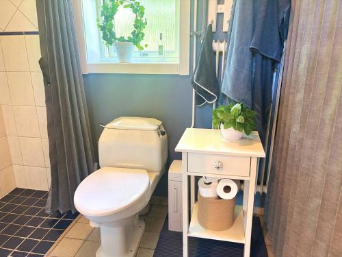 a bathroom with a toilet and a sink and a window at Hus Fee in Fredriksberg
