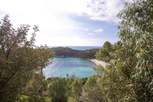 Costa Ovest - Goelba – Photos 2