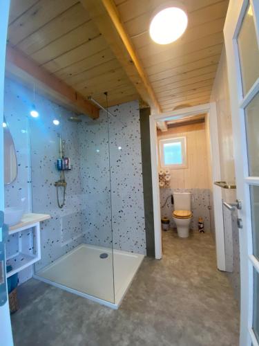 a bathroom with a shower and a toilet at Viridian Three Boathouse Unique, PERUCAC in Perućac