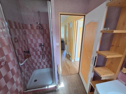 a bathroom with a shower with a pink tile wall at Maison proche bourg in Piégut-Pluviers