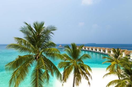 Furaveri Maldives - COMPLIMENTARY ROUND-TRIP SEAPLANE TRANSFER FOR TWO FOR A MINIMUM OF 5 NIGHTS OR MORE FOR STAYS 1ST MAY 2026 TO 23RD DECEMBER 2026 — Beach